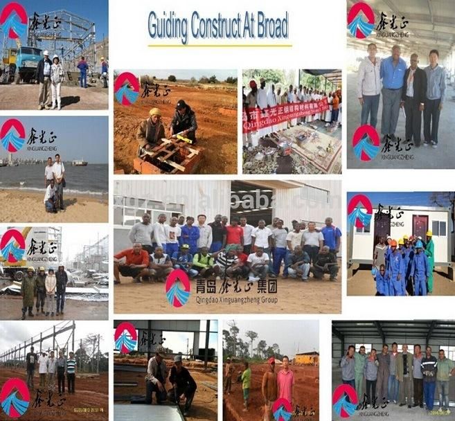 Poultry Farm Automatic