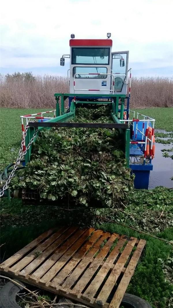 Lake River Weed Harvester Boat Trash Skimmer Boat for Sale