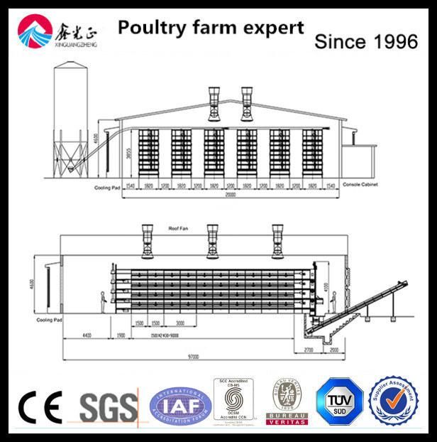 Galvanized Stainless Steel Structural Technical Quickly Built Poultry Farm