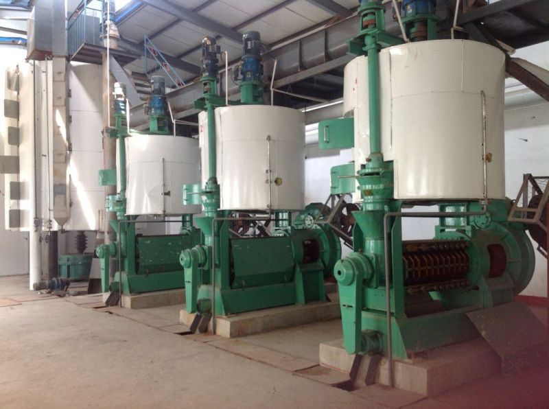 Groundnut Oil Presser /Sunflower Oil Machine