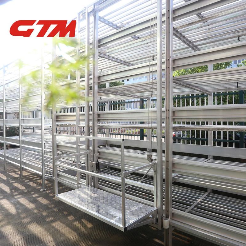 Champignon Mushroom Growing Aluminum Shelving