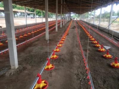 Full Automatic Modern Poultry Farming Design Chicken Broiler Pan Feeding System Equipment