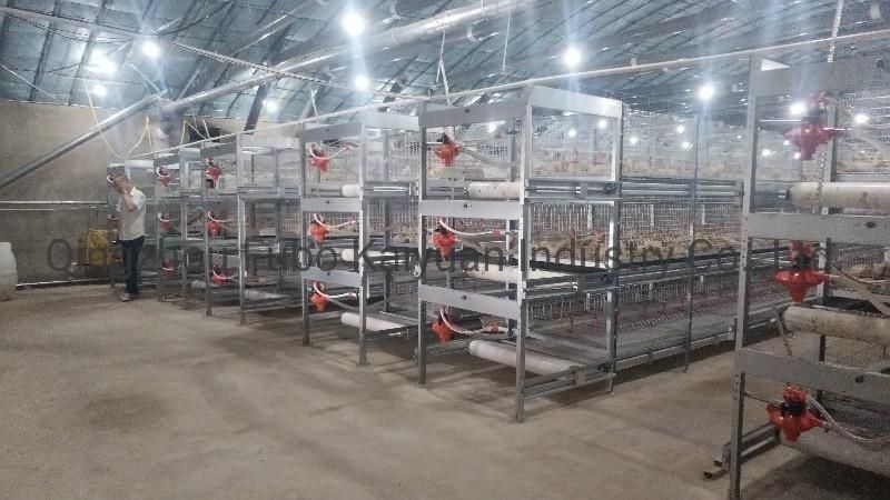 Automatic Battery Commercial Poultry Cage for Broiler/Layer/Egg Chicken