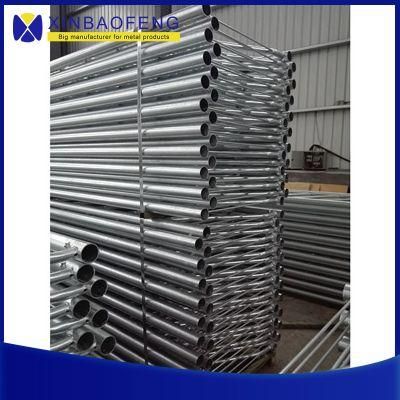 OEM Factory Galvanized Cow Cattle Free Stall for Sale