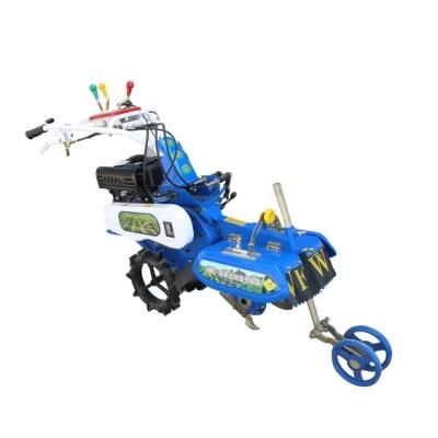 Multi Functional Mini Gasoline Hand Held Agricultural Tilling Machine Mini Power Tiller in Greenhouse