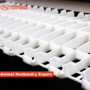 Poultry Plastic Slat Floor with Small Hole: 2*1.5cm (Length: 1.2m * width: 0.5 m * thickness0.04m)