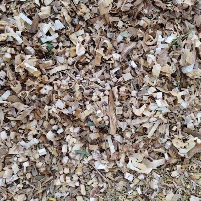 Excellent Energy Efficiency 600*420*320 Crushing-Before-Mixing Chaff Slicer Machinery for Forage