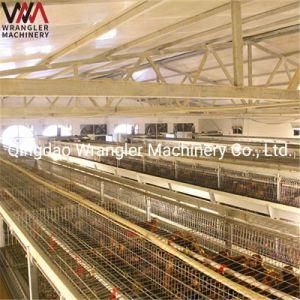 Automatic Poultry Broiler Chicken Cage Feeding Equipment for Farming
