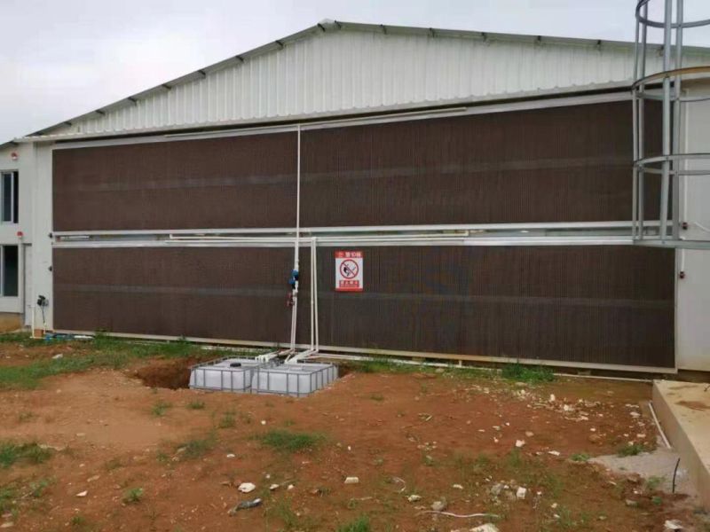 Poultry Greenhouse Cooling System Evaporative Cooling Pad for Farm Withce