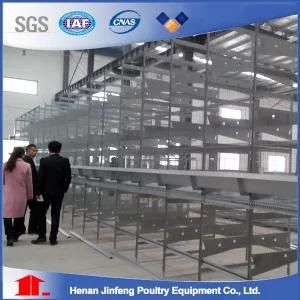 H Type Poultry Battery Cage for Big Poultry Farms