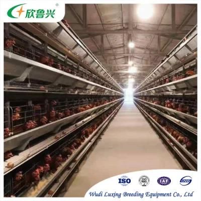 Layer Cages System Poultry Farm Equipment for Laying Hen Chicken Battery Farming