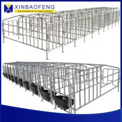 Livestock Equipment, Pig Equipment, Galvanized Pipe, Sow Gestation Box/Stall