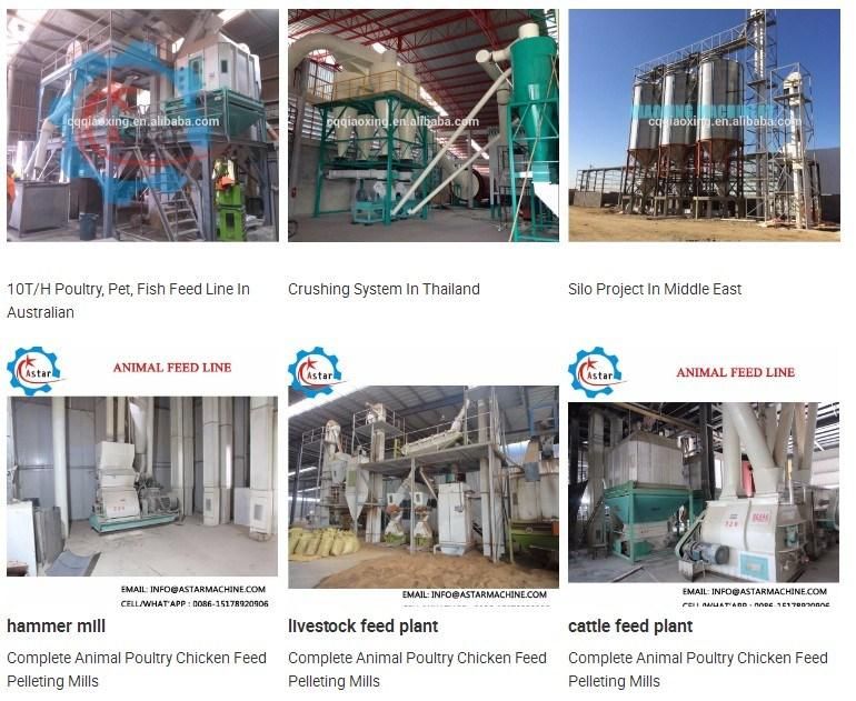 Shrimp Chicken Poultry Cattle Livestock Dairy Complete Animal Feed Pellet Making Production Line for Sale Animal Food Processing Line