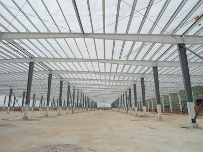 High Quality Steel Structure Workshop/Warehouse