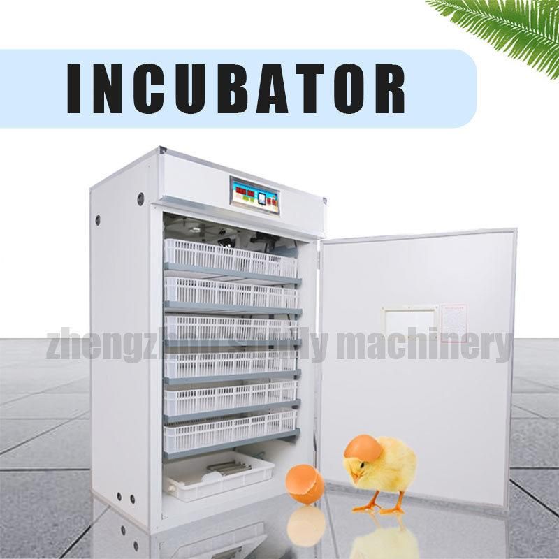 Mini Incubator Incubator for Eggs Egg Incubators with Trays