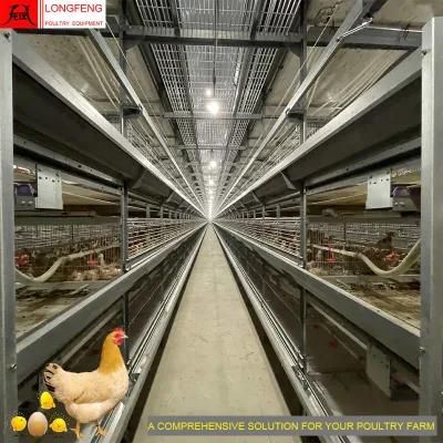 Dosing Medicine and Spray Disinfection Hot Galvanized Large Scale 288birds Poultry Farm Equipment