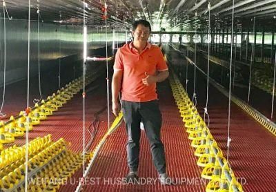 Design Modern Chicken Farm with Steel Chicken Farming Material
