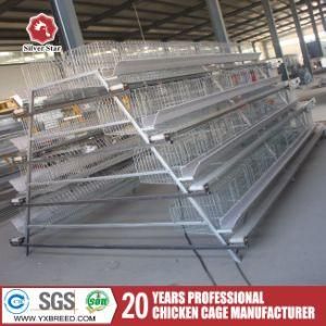 Silver Star Automatic Layer Chicken Cage System