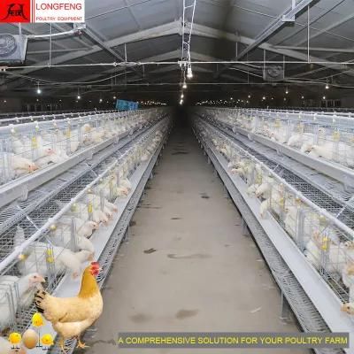 Mature Design, Durable and Sturdy Poultry Farm Layer Cages Egg Laying Cage