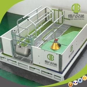 High Strengh Galvanized Swine Farrowing Crates Guinea Pig Cage