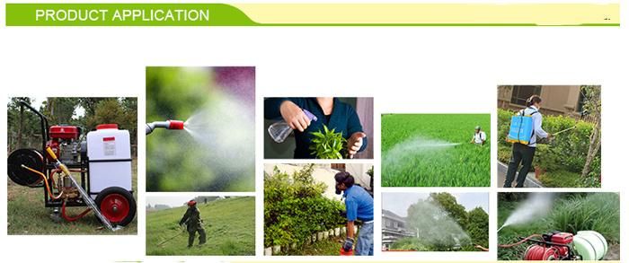 High Quality Hand-Push Big Positive Multi-Function Electric Hand-Push Sprayer