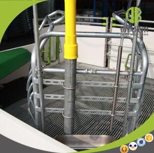 High Strengh Farrowing Crate for Sales for Farm Equipment