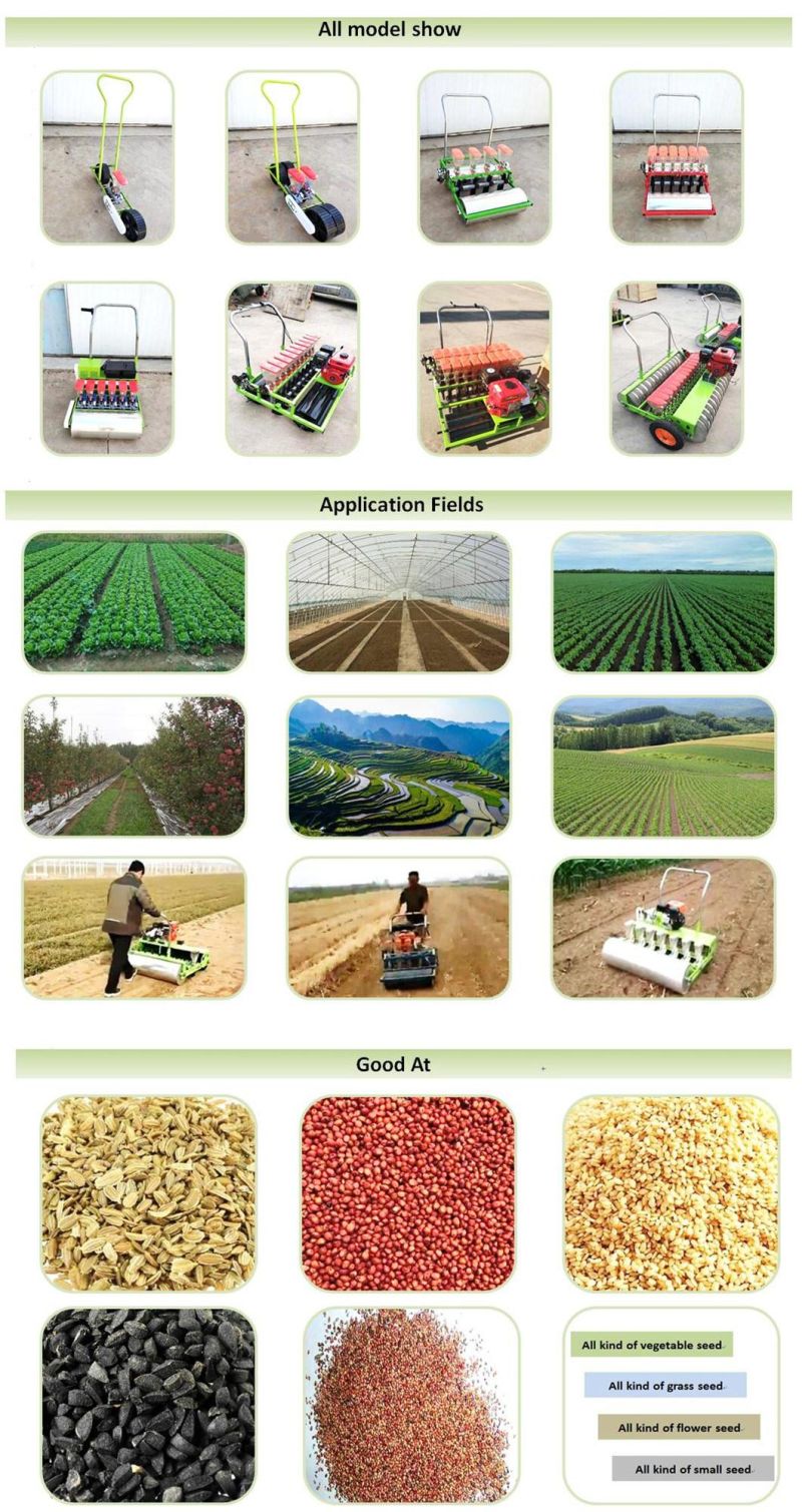 Carrot Planter/ Cherry Radish/ White Radish Seeding Machine/Turnip/Beet/Onion Seeding Equipment/ Spinach Sower/ Vegetable Seeder (factory selling customization)