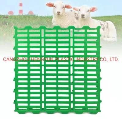 Livestock Farm Pig Poultry Goat Sheep Plastic Slatted Flooring