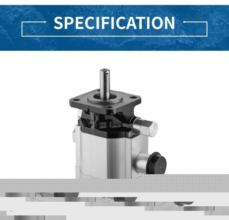 2CB-E 8.8/2.1 Hydraulic Log Splitter Gear Pump for Log Splitter