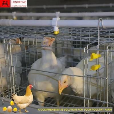 Longfeng High Quality 275g Hot Galvanized Chicken Farm Equipment