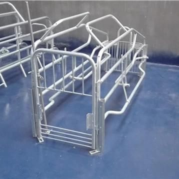Pig Gestation Crates Piggery Equipment Farrowing Stalls Used Pig Pen Design