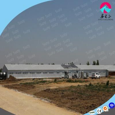 Prefab/Prefabricated Steel Structure Duck/Chicken House with Equipment