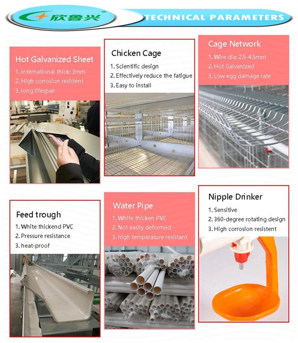 Automatic Battery H Type 4 Tiers Bird-Harvesting Broiler Raising Cage for Layer Chicken Raising Poultry Farming