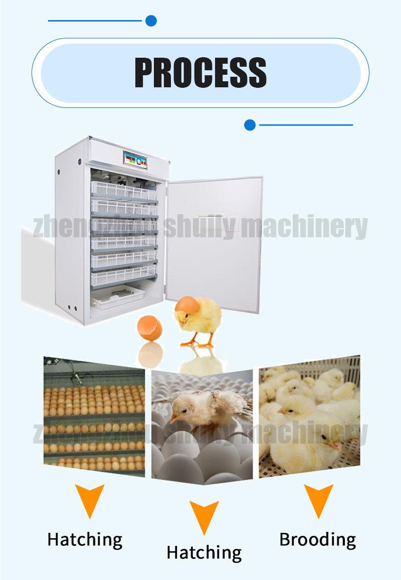 Mini Incubator Incubator for Eggs Egg Incubators with Trays