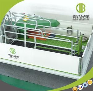 High Strengh Galvanized Farrowing Crates for Pig Piggery Equipment