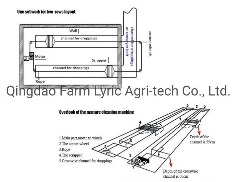 High Quality Poultry, Chicken House, Pig Manure Cleaner/Manure Scraper