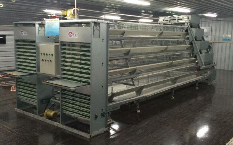 Chicken Farming Equipment Chicken Cage