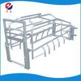 Adjustable Pig Farrowing Crate / 2018 Popular Gestation Crate/ Pig Farm Equipment