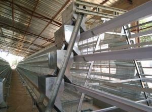 Poultry Equipment for Chicken Raising Cages