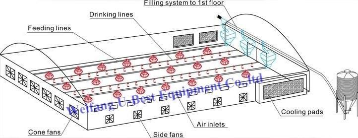 20000 Birds for Animal Cage Automatic Feeding and Drinking Line