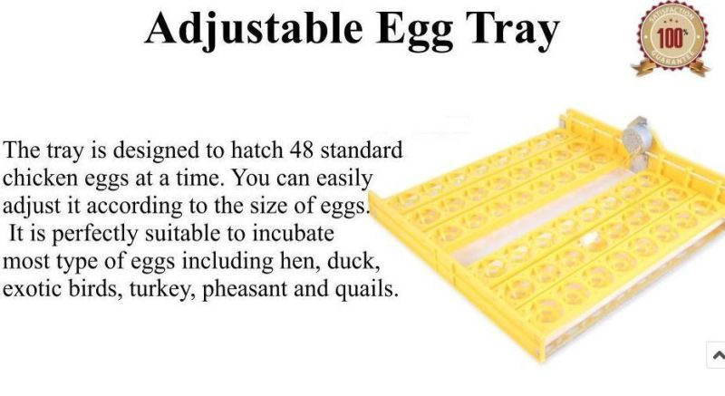 Ce Certificate High Hatching Rate 48 Eggs Automatic Egg Incubator (KP-48)