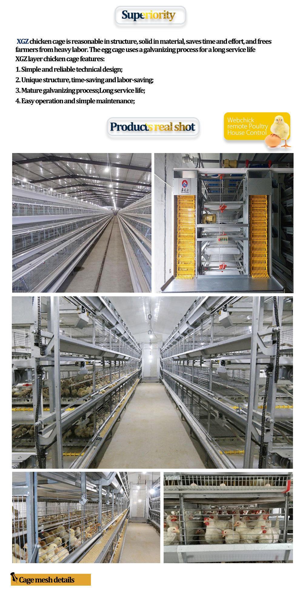 Layer Egg Chicken Cage/Poultry Farm House Design Egg Chicken House Design for Layers Metal Chicken House