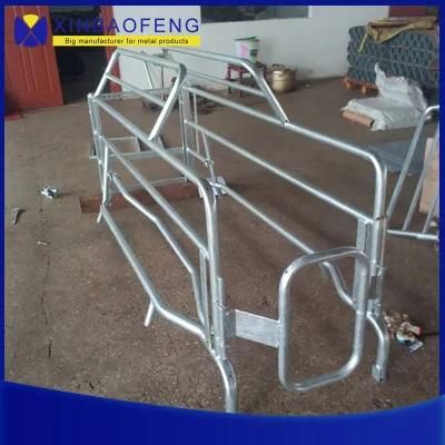 Pig Equipment for Domestic Animal Galvanized Gestation Pens Made in China, Sow Gestation Stalls