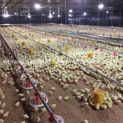 Steel Structure Poultry House Chicken Farming Equipment for Agriculture Farms