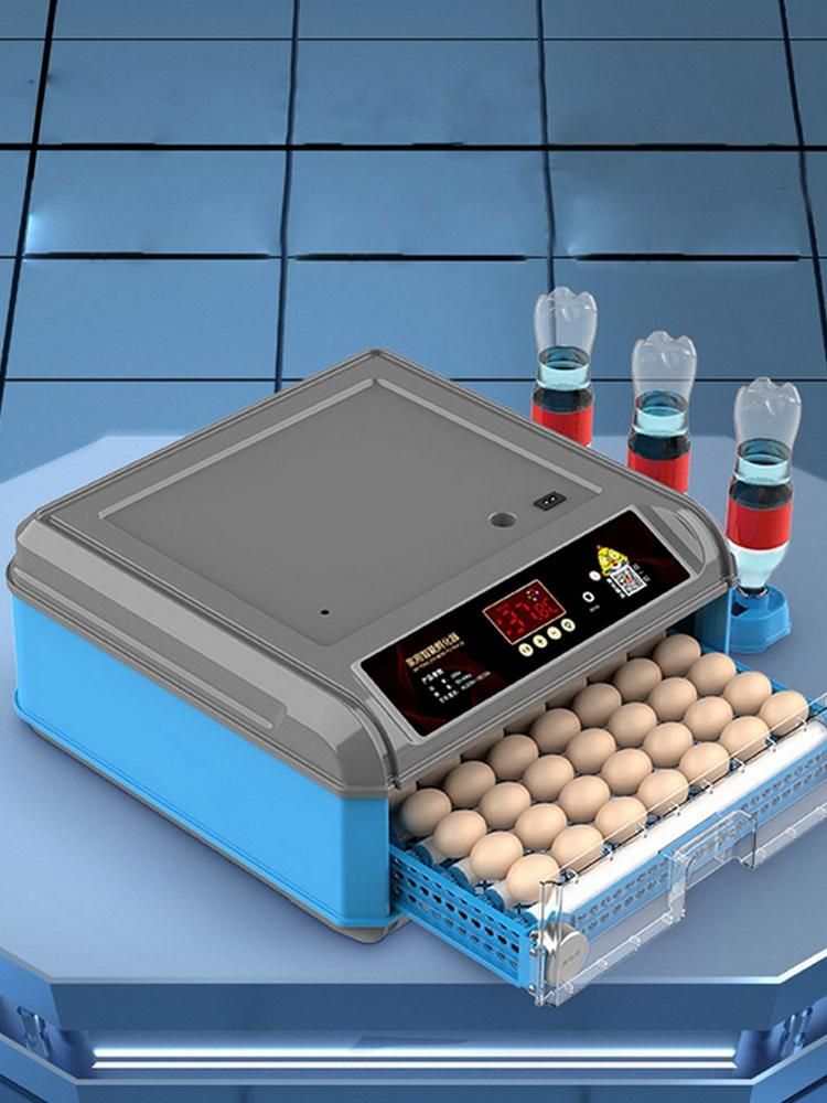 Commercial Hatching Machine Temperature Humidity Controller Automatic Mini Eggs Incubator 64 Egg