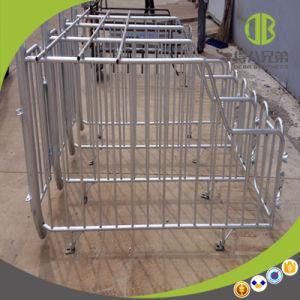 Pig Stall High Quality Individual Cage Gestation Pen