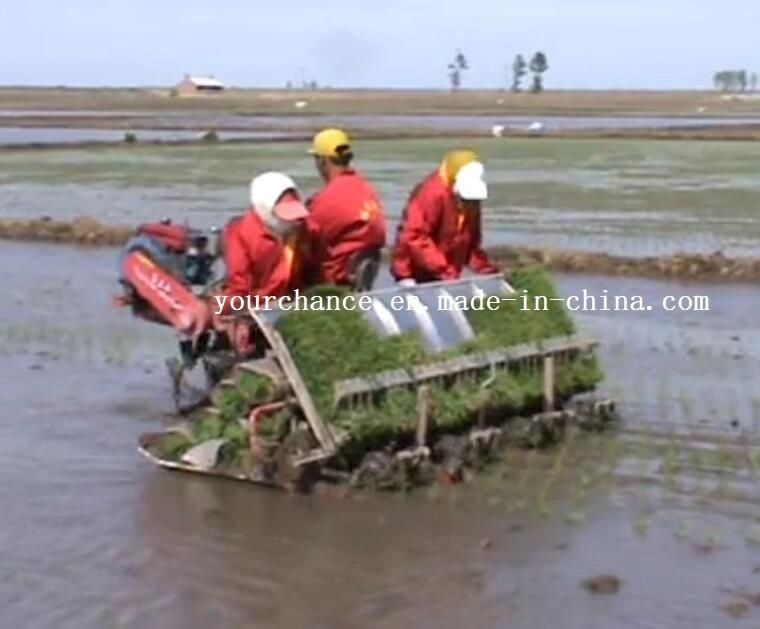 High Efficiency 2z-10238 10 Rows 238mm Rows Width Riding Type Rice Transpanter for Sale