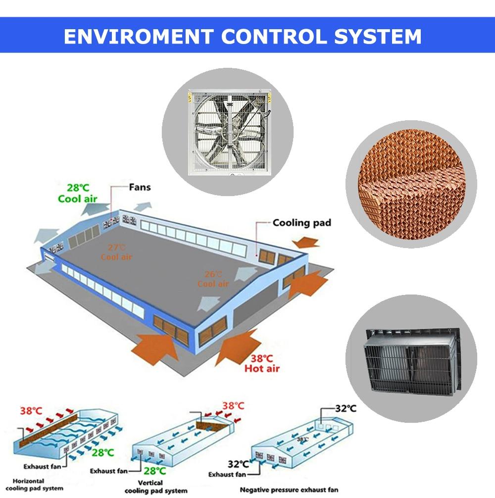 Hot Sale Automatic 4 Tiers Farm Chicken Cage System on Hot Selling