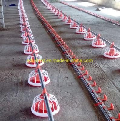 Pakistan Sale Control Shed Poultry Farming Chicken Farm Building Cost
