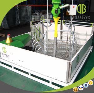 New Crate Design Open Pen for Sow with Good Price